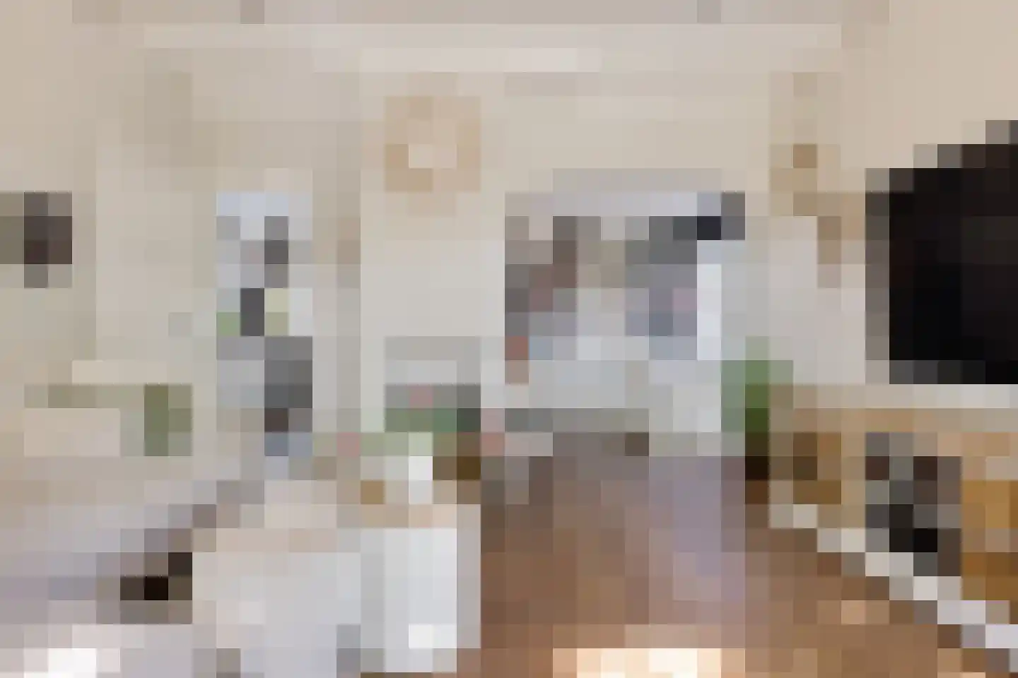 Viaductstraat 23 Ter Apel thumbnail 8