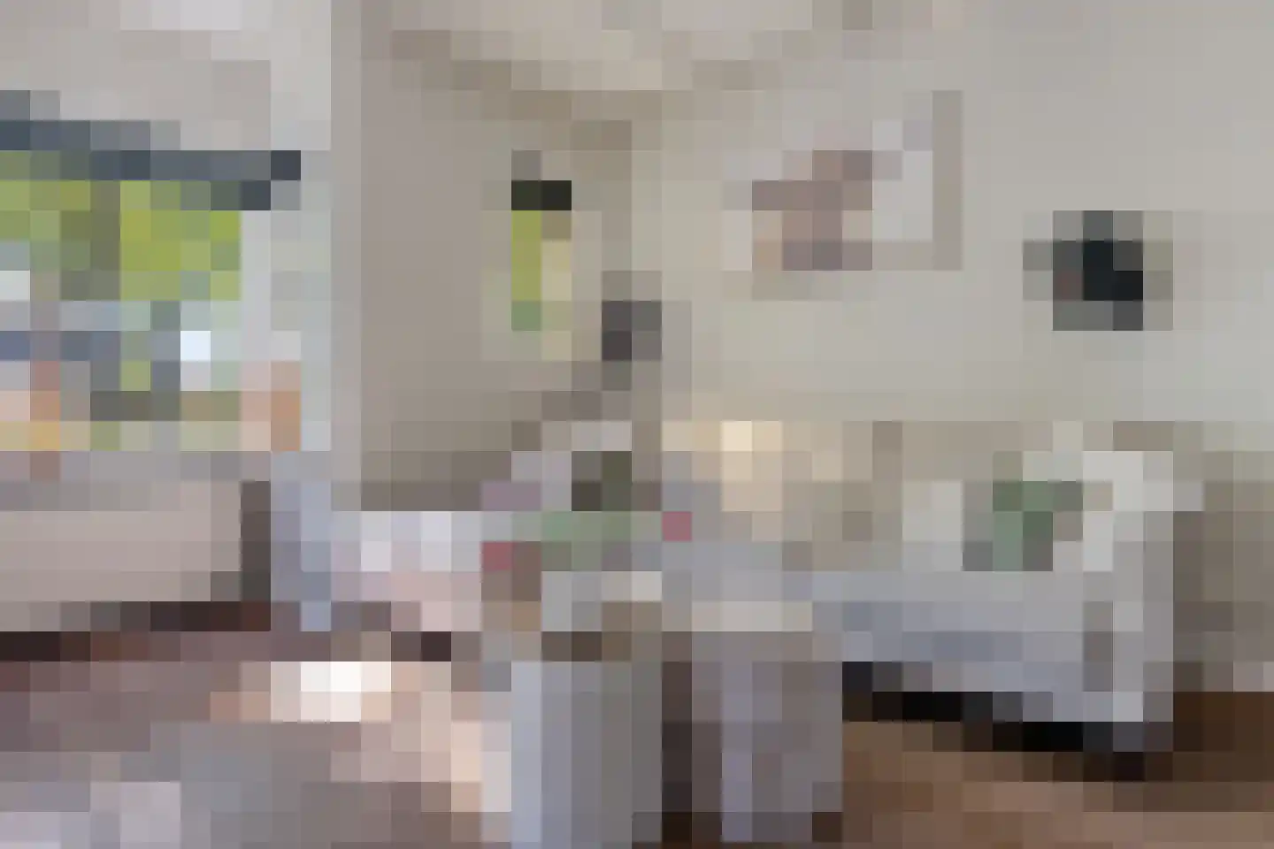 Viaductstraat 23 Ter Apel thumbnail 9
