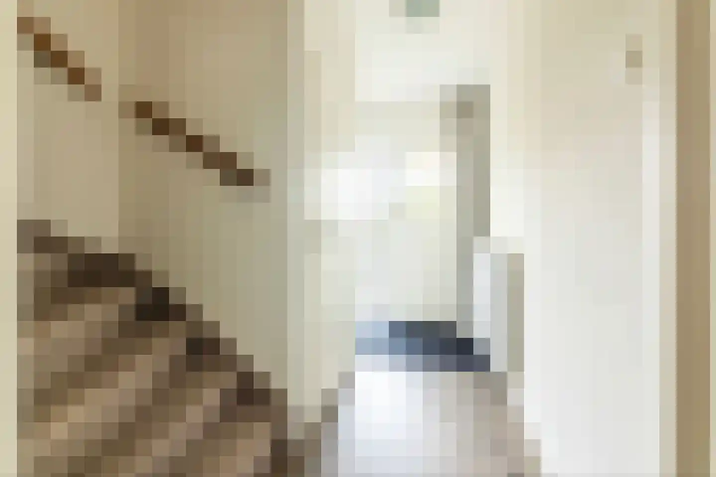 Viaductstraat 27 Wamel thumbnail 32