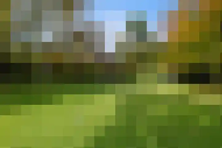 Viaductstraat 78 a Wamel thumbnail 48