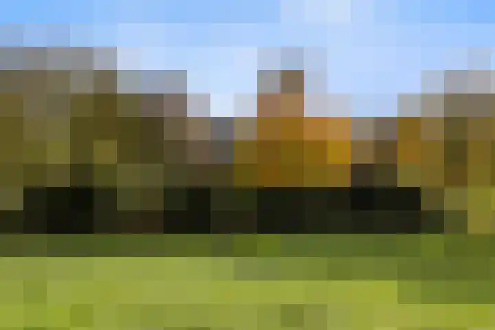 Viaductstraat 78 a Wamel thumbnail 64