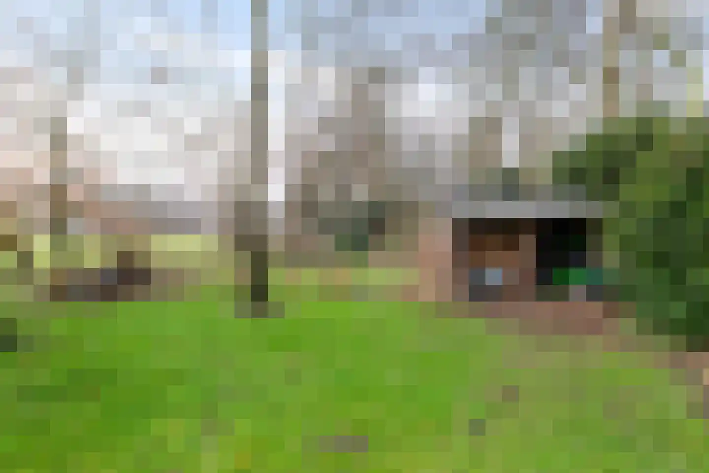 Viaductweg 19 Haren Gn thumbnail 13