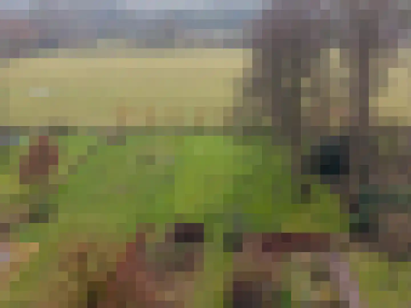 Viaductweg 19 Haren Gn thumbnail 15