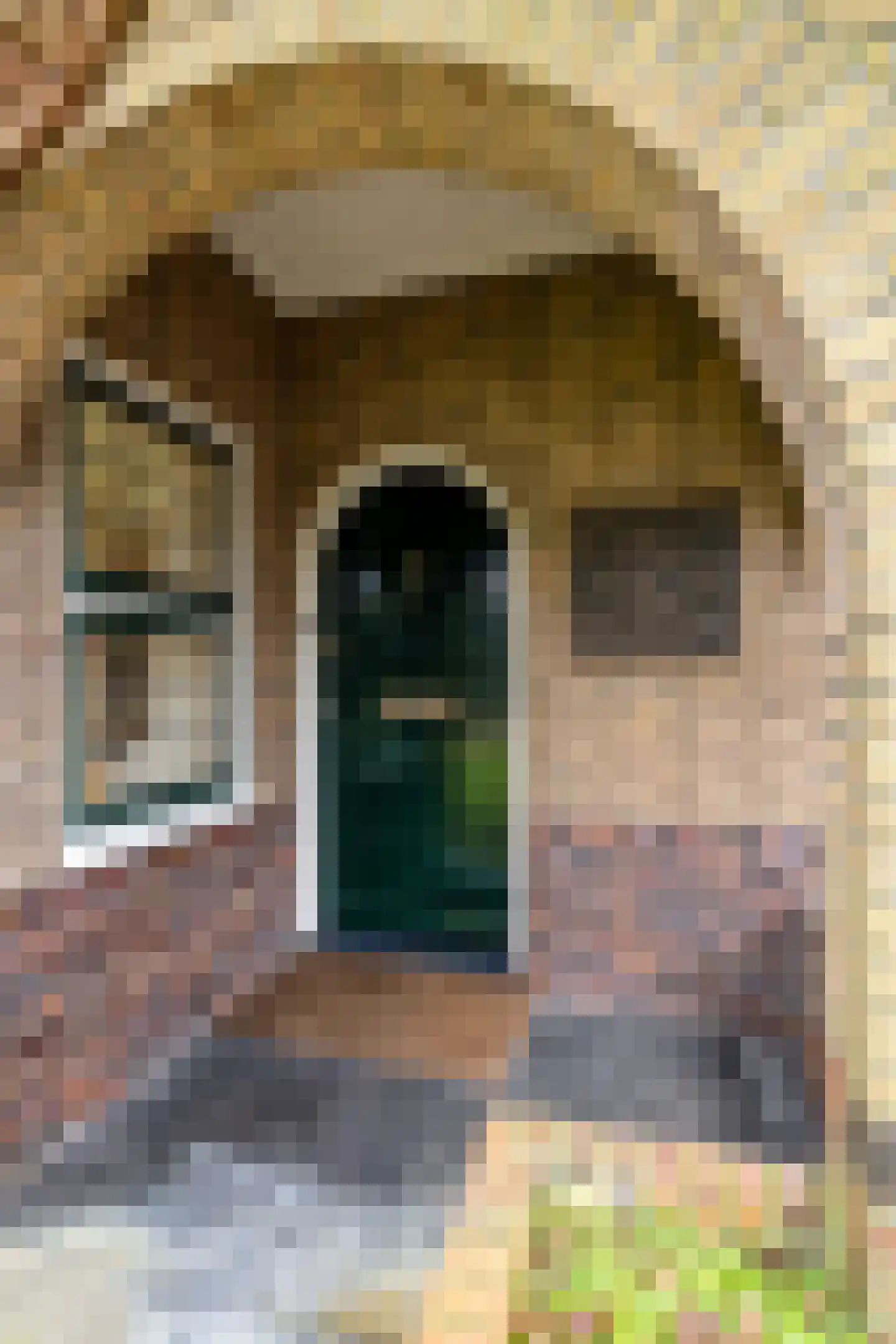 Viaductweg 19 Haren Gn thumbnail 4