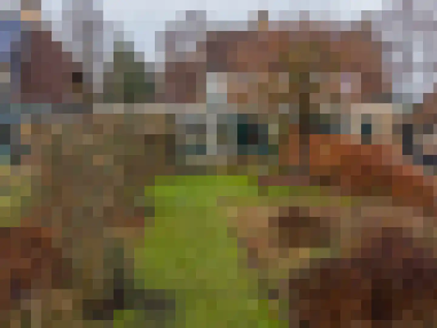 Viaductweg 19 Haren Gn thumbnail 6