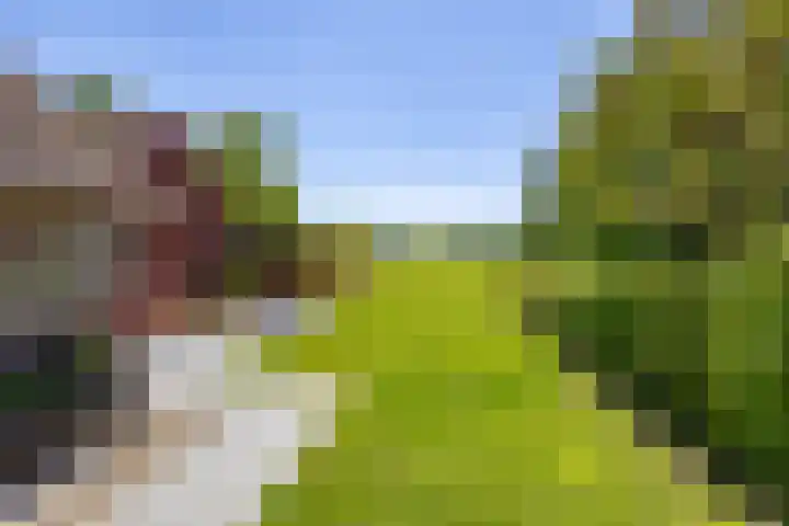 Viaductweg 21 Haren Gn thumbnail 30