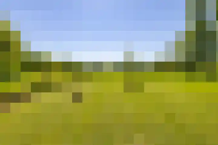 Viaductweg 21 Haren Gn thumbnail 32