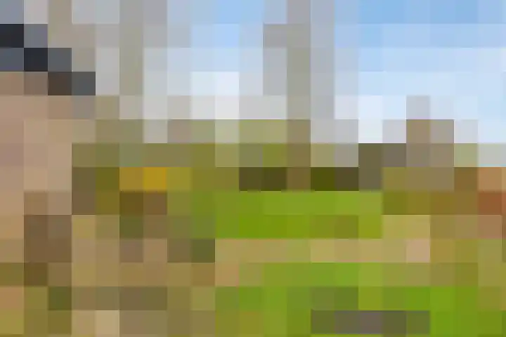 Viaductweg 4 a Bruchem thumbnail 34