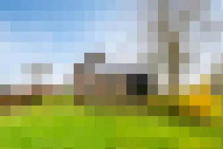 Viaductweg 4 a Bruchem thumbnail 35