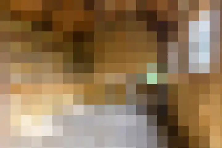 Viaductweg 4 a Bruchem thumbnail 38