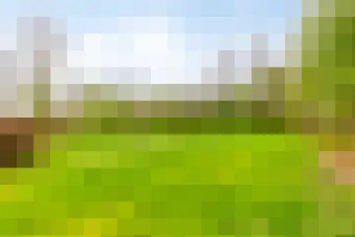 Viaductweg 4 a Bruchem thumbnail 43