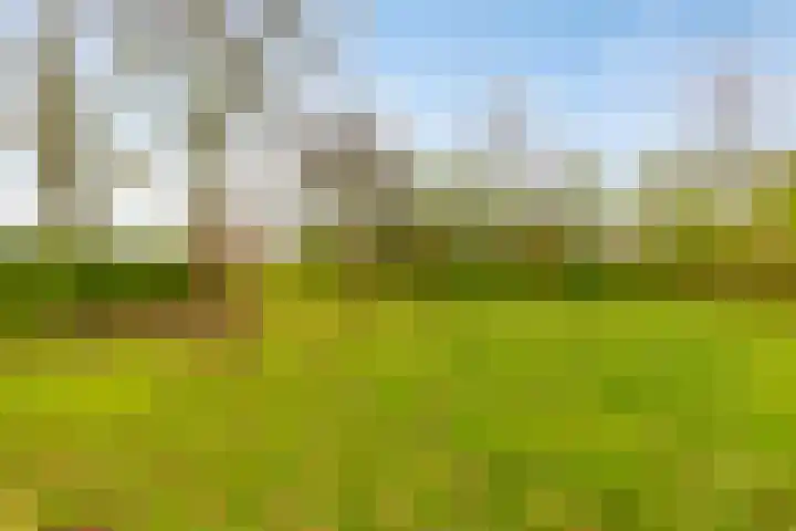 Viaductweg 4 a Bruchem thumbnail 45