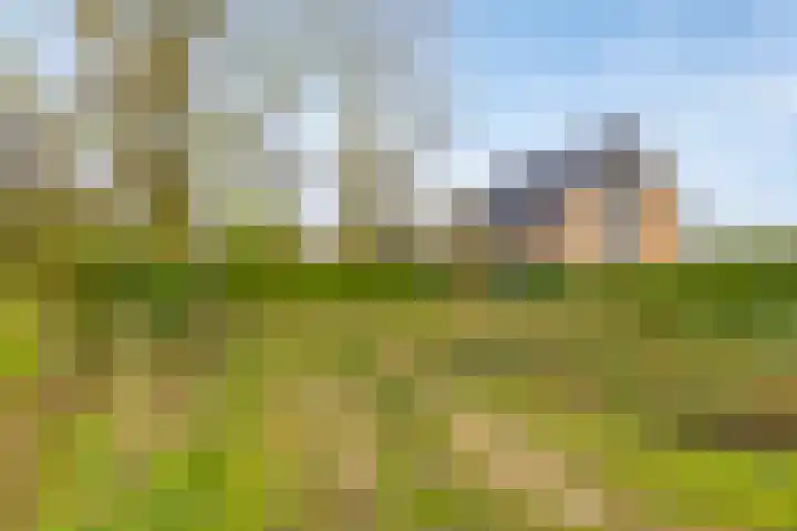 Viaductweg 4 a Bruchem thumbnail 47
