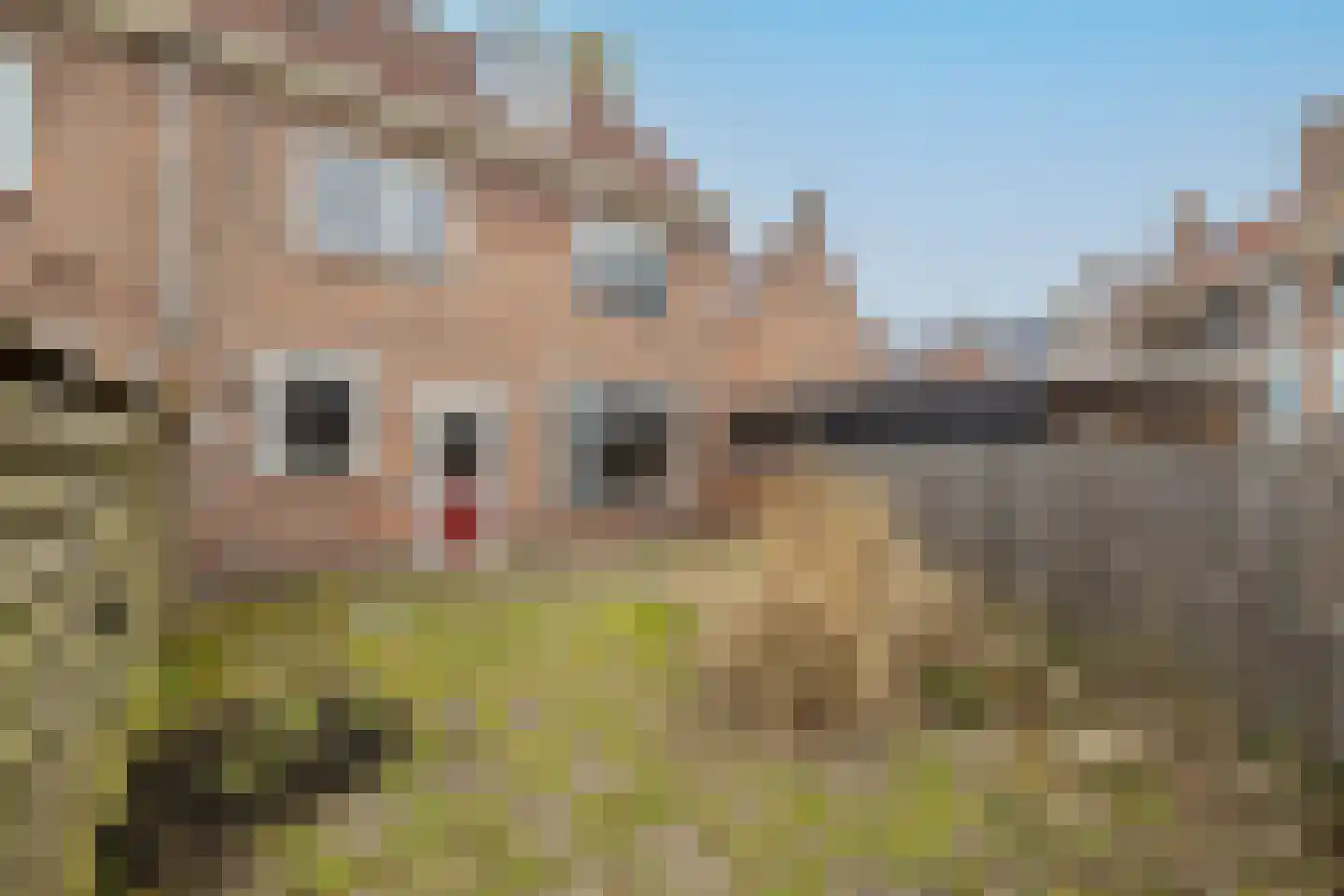 Viaductweg 45 Noordwijkerhout thumbnail 25