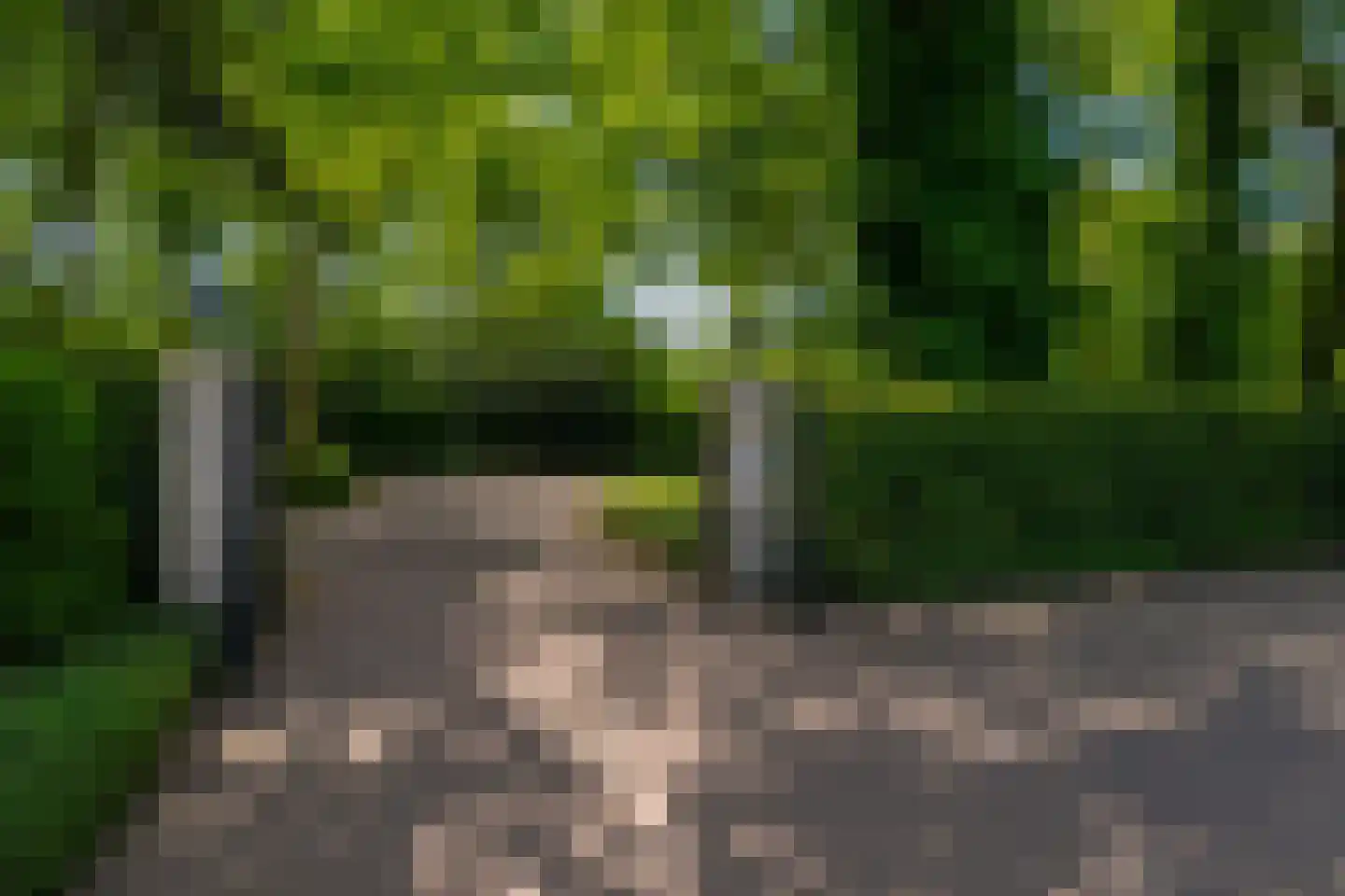 Viaductweg 54 Haren Gn thumbnail 110
