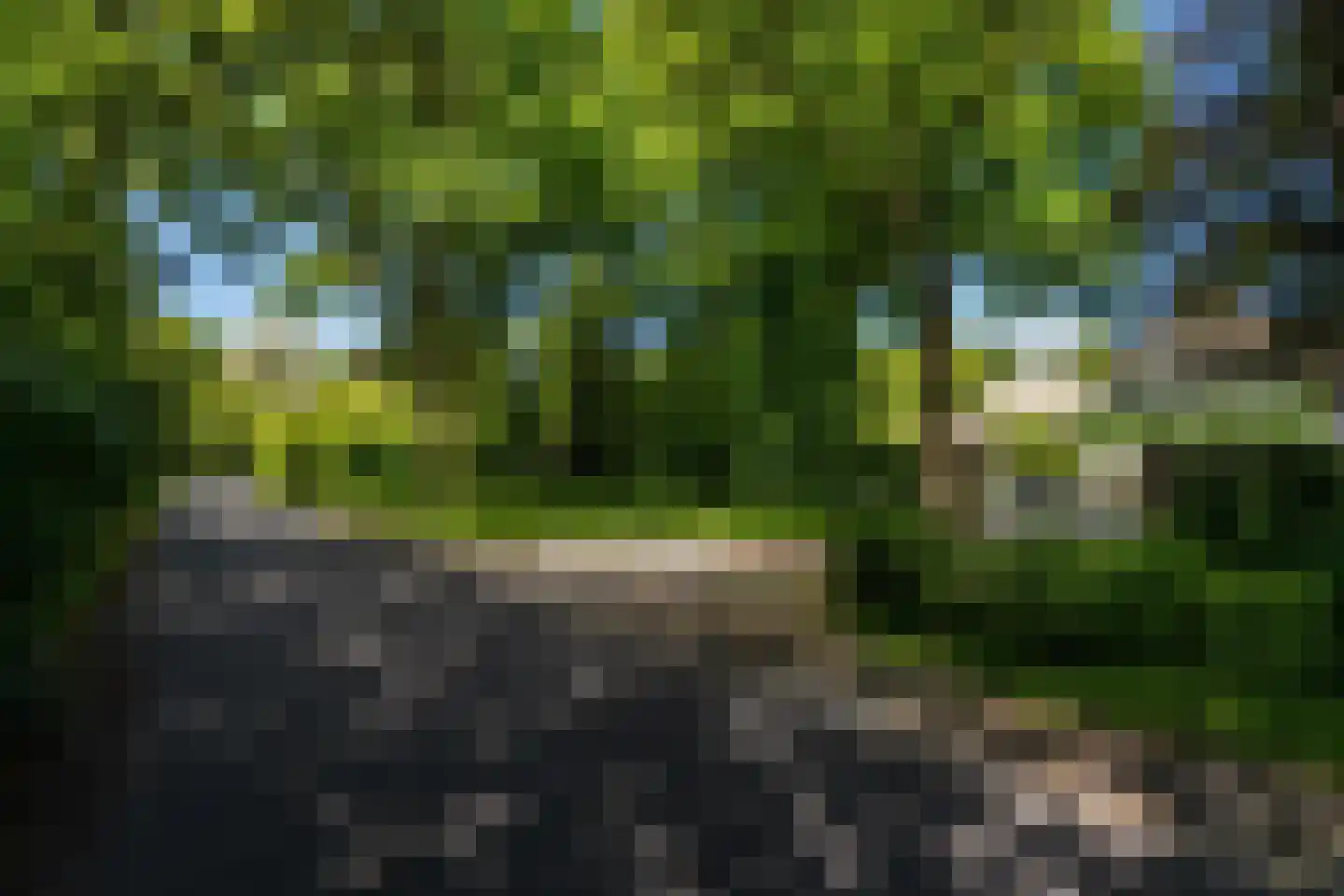 Viaductweg 54 Haren Gn thumbnail 111