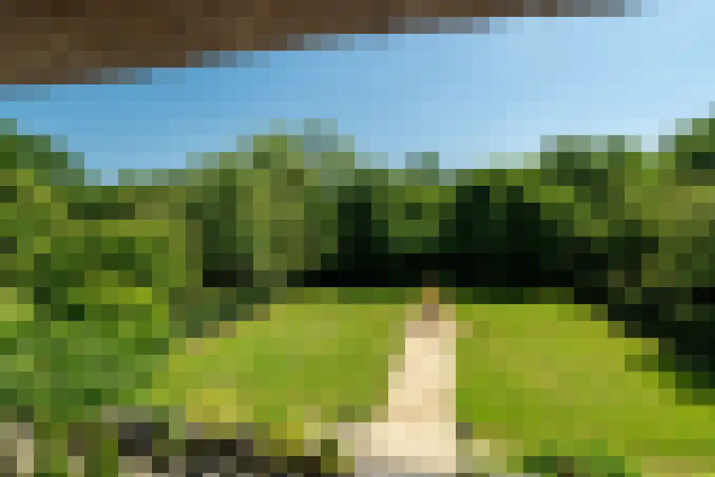 Viaductweg 54 Haren Gn thumbnail 42