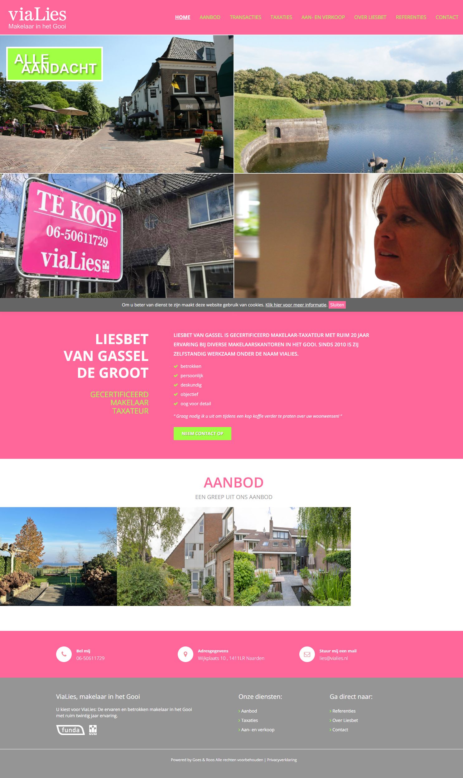 Screenshot der Website von www.vialies.nl