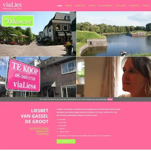 Screenshot der Website von www.vialies.nl