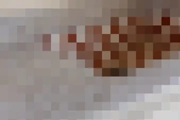 Viandenstraat 6 Den Haag thumbnail 12