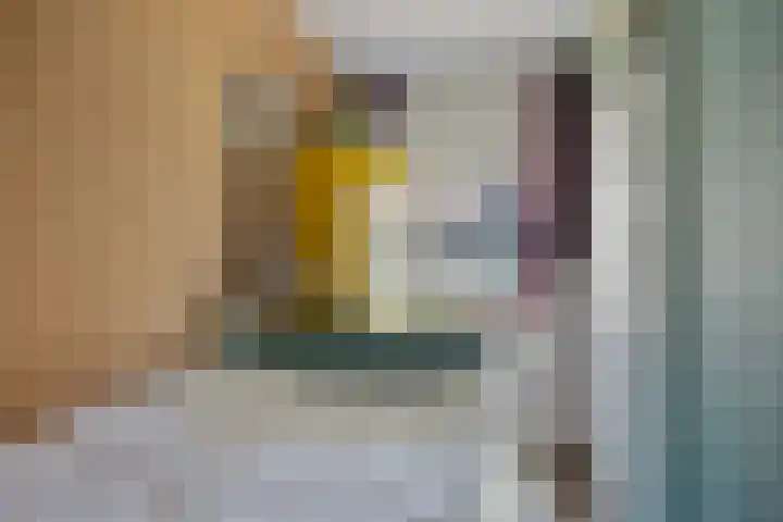 Viandenstraat 6 Den Haag thumbnail 21