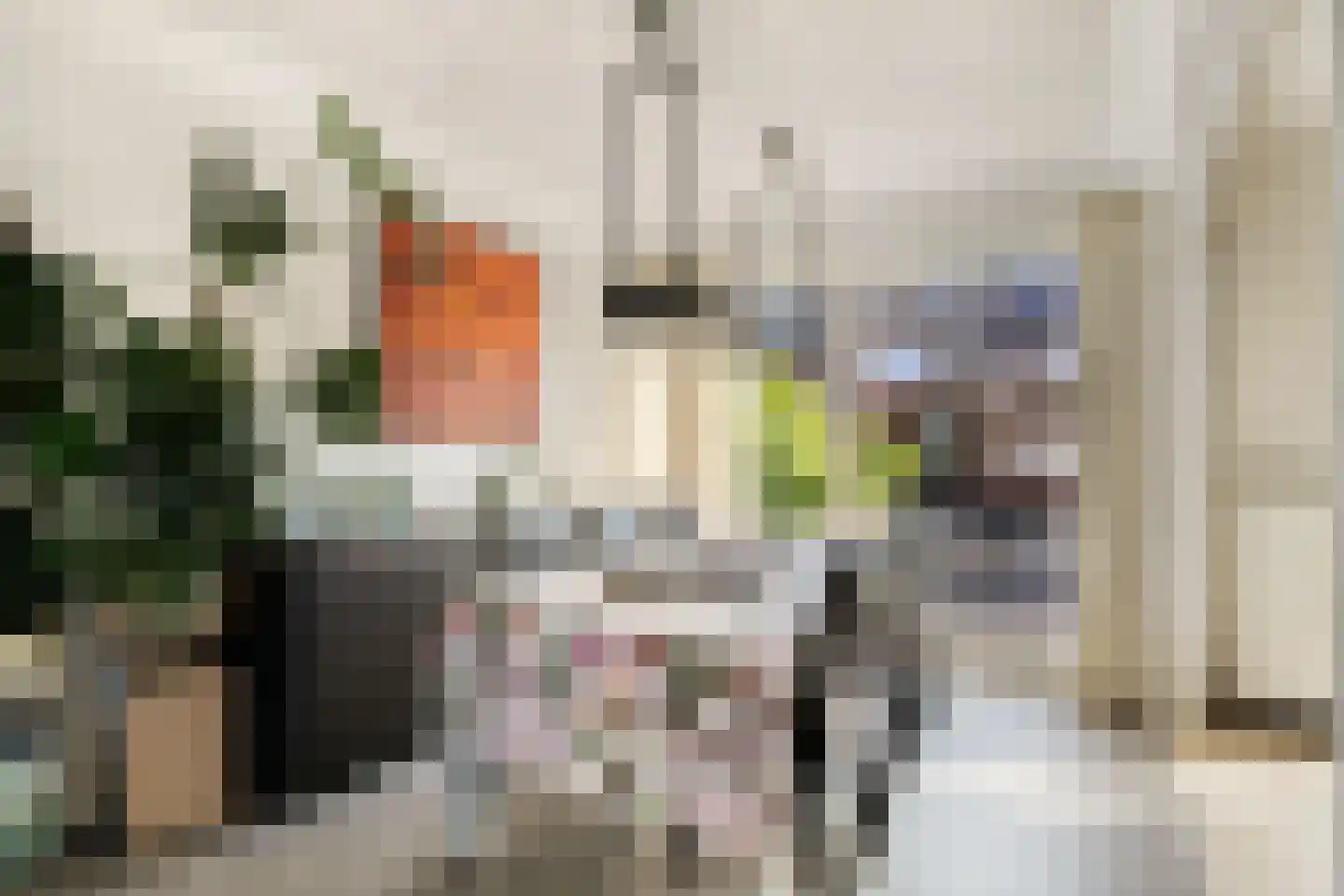 Viandenstraat 9 's-Hertogenbosch thumbnail 10