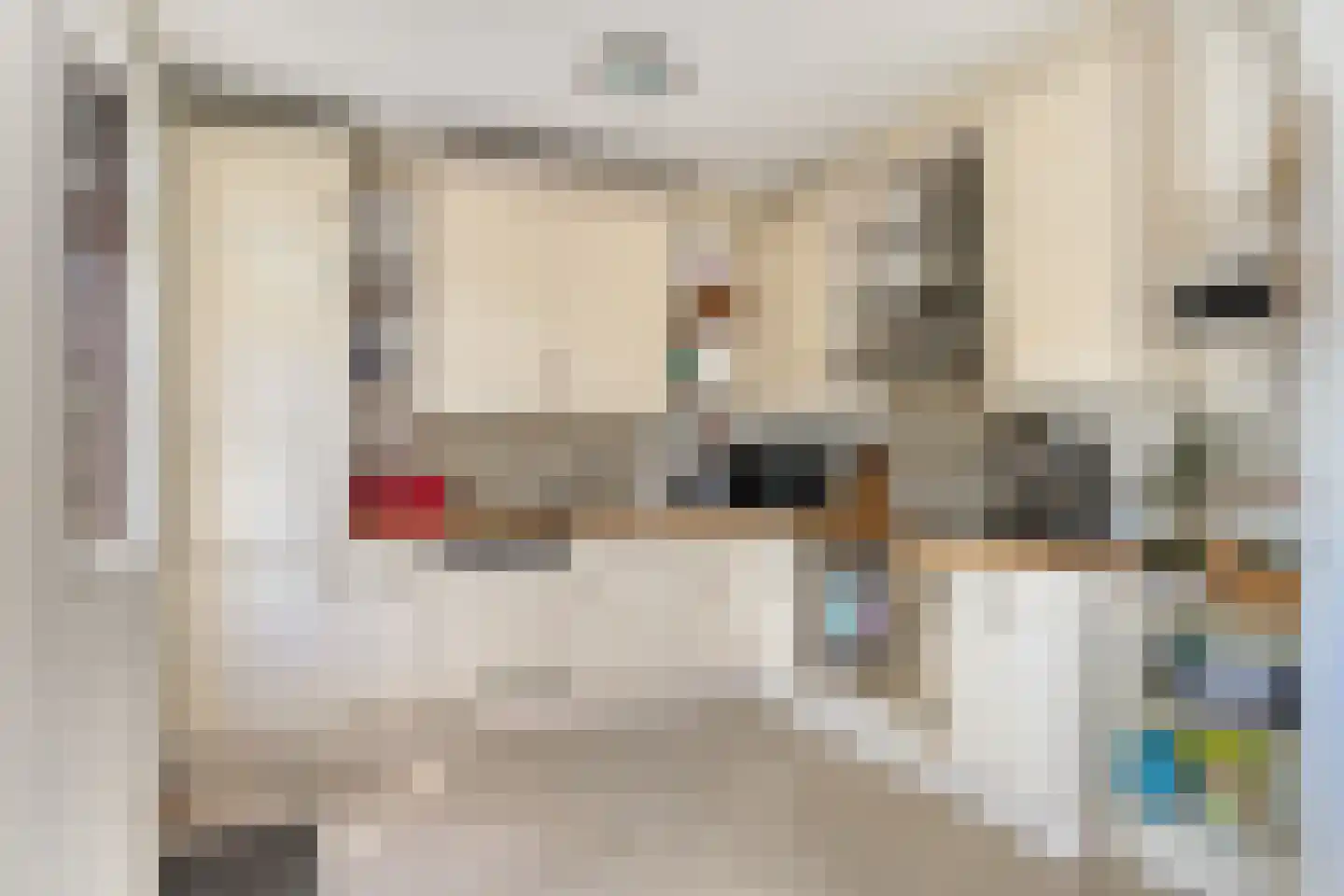 Viandenstraat 9 's-Hertogenbosch thumbnail 13