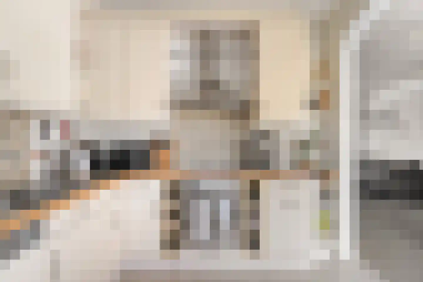 Viandenstraat 9 's-Hertogenbosch thumbnail 14