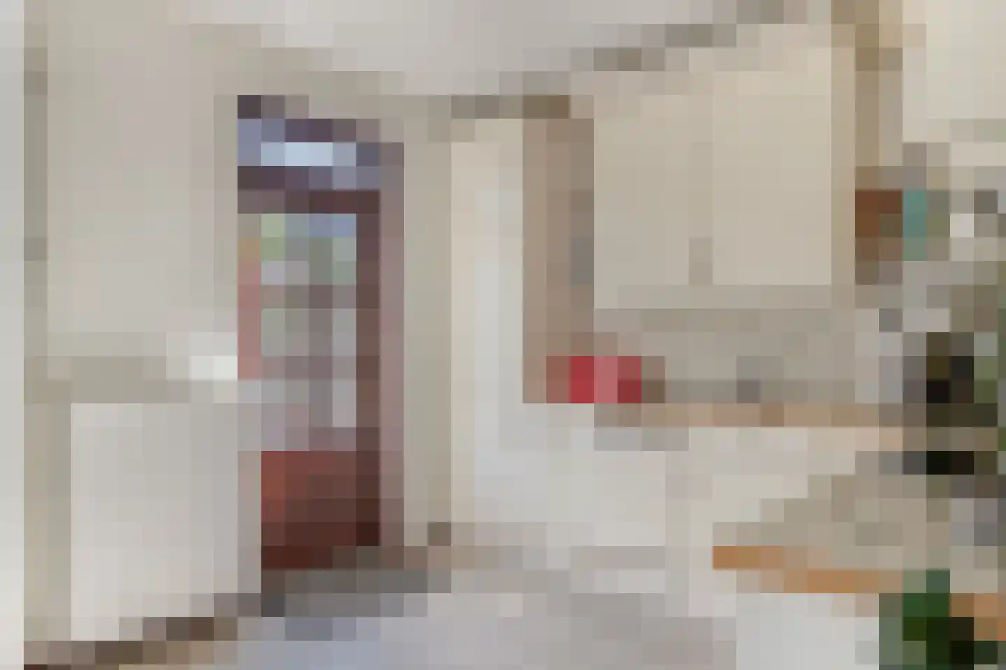 Viandenstraat 9 's-Hertogenbosch thumbnail 15