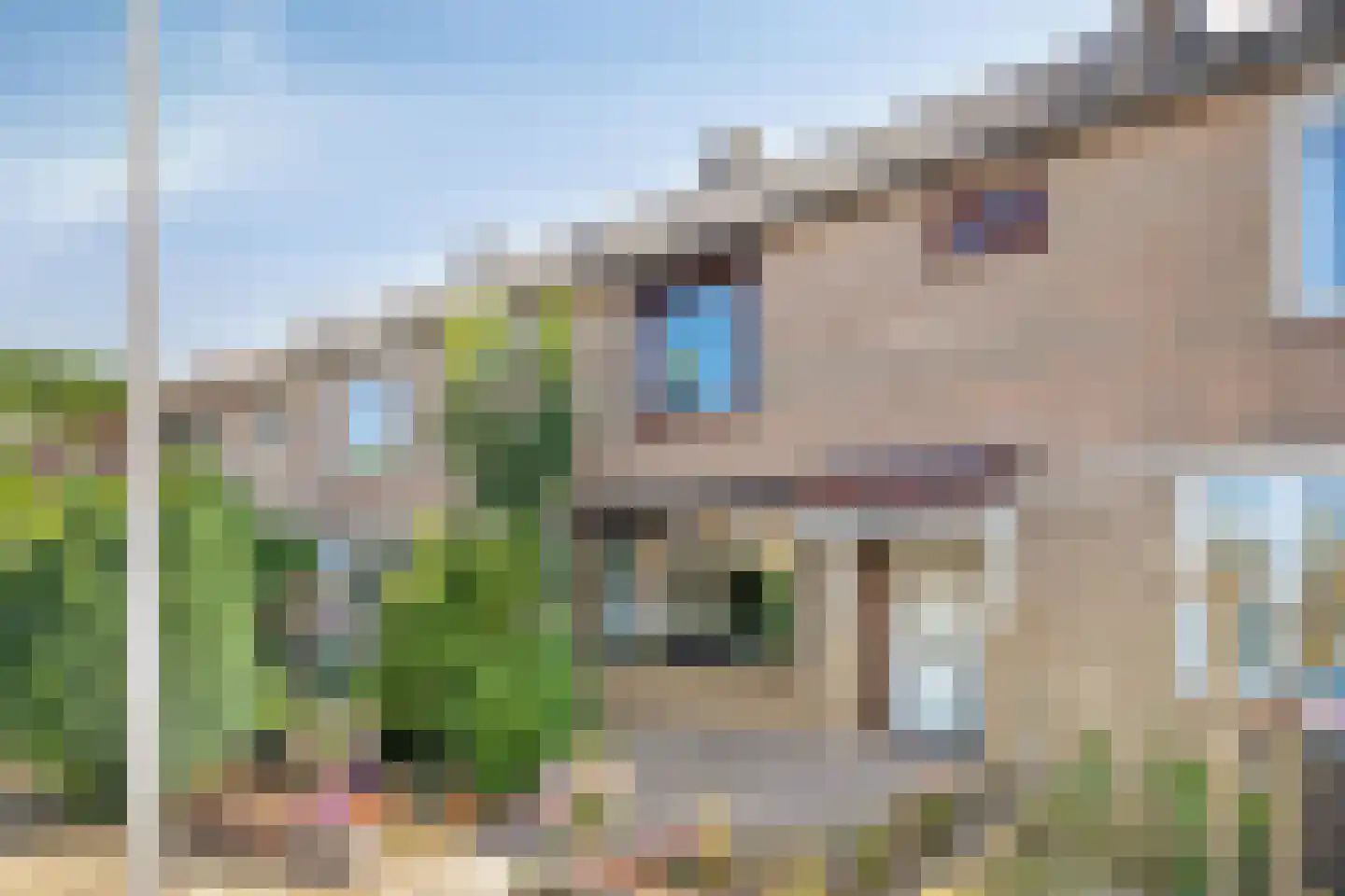 Viandenstraat 9 's-Hertogenbosch thumbnail 30