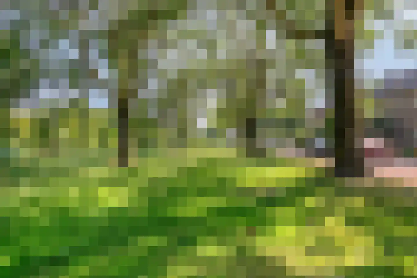 Viandenstraat 9 's-Hertogenbosch thumbnail 32