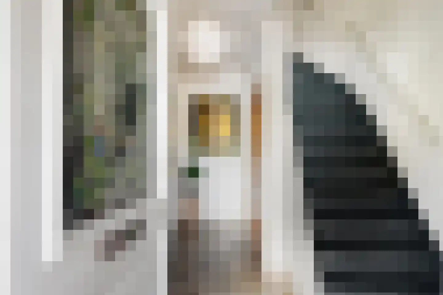 Viandenstraat 9 's-Hertogenbosch thumbnail 6