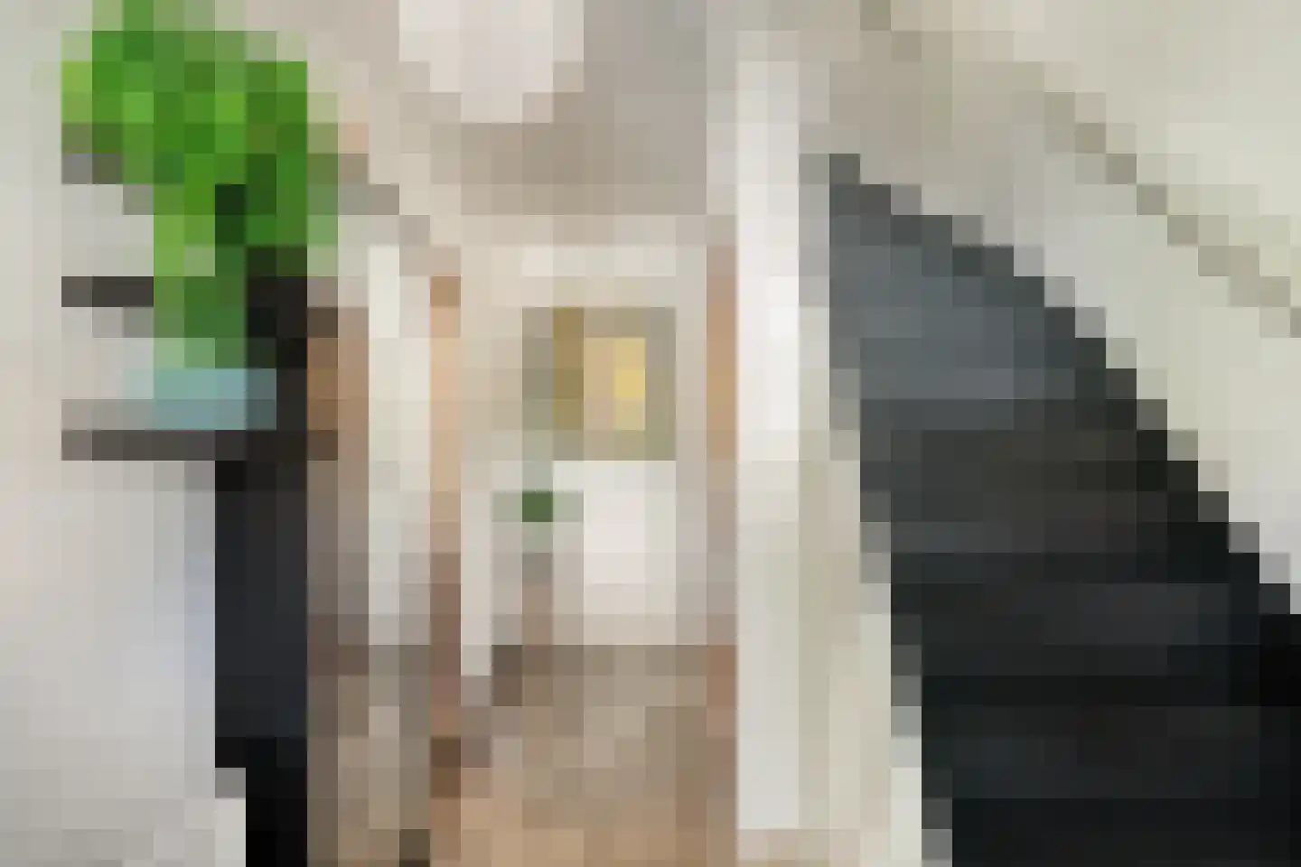 Viandenstraat 9 's-Hertogenbosch thumbnail 7