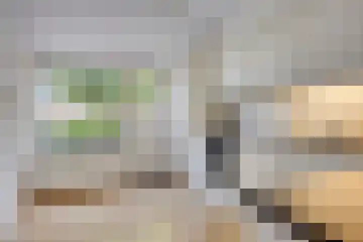 Vianendreef 10 Prinsenbeek thumbnail 12
