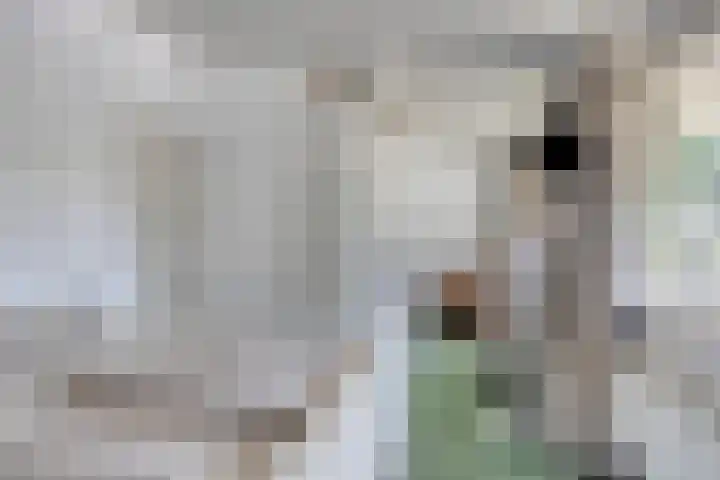 Vianendreef 10 Prinsenbeek thumbnail 15