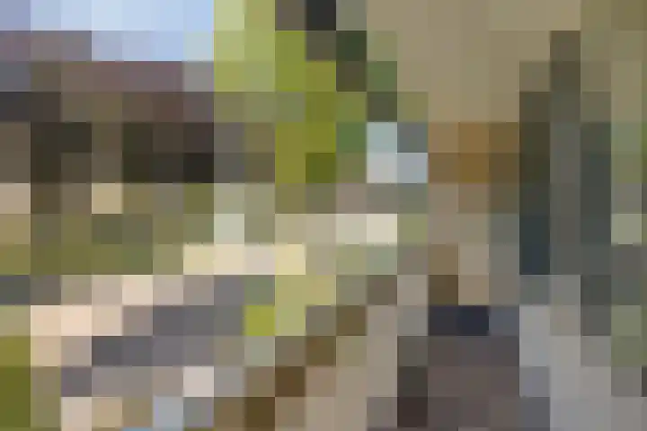 Vianendreef 10 Prinsenbeek thumbnail 16