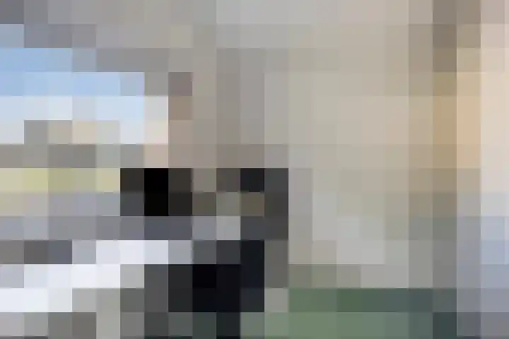 Vianendreef 10 Prinsenbeek thumbnail 17