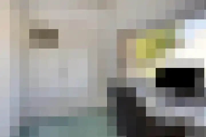 Vianendreef 10 Prinsenbeek thumbnail 18