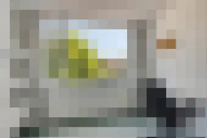 Vianendreef 10 Prinsenbeek thumbnail 19