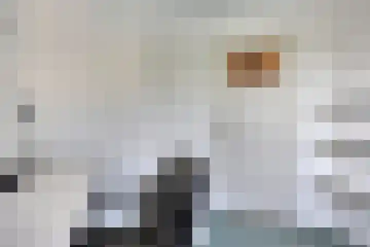 Vianendreef 10 Prinsenbeek thumbnail 20