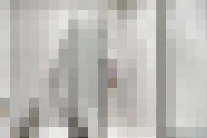 Vianendreef 10 Prinsenbeek thumbnail 22