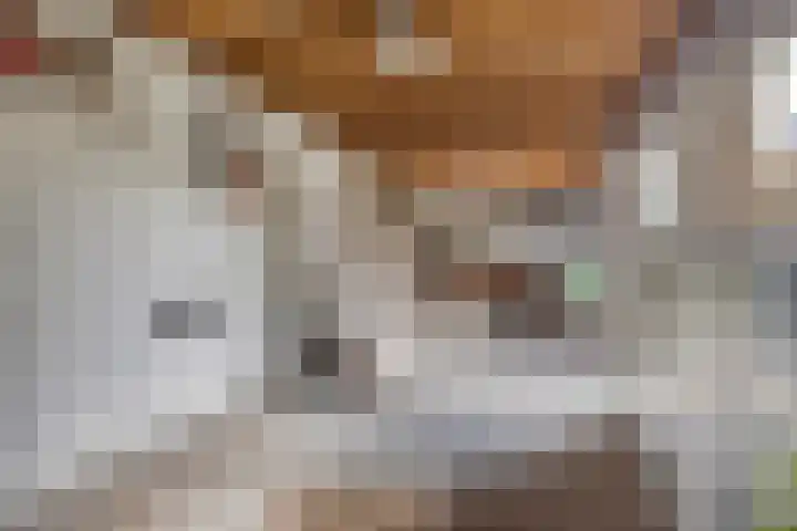 Vianendreef 10 Prinsenbeek thumbnail 25