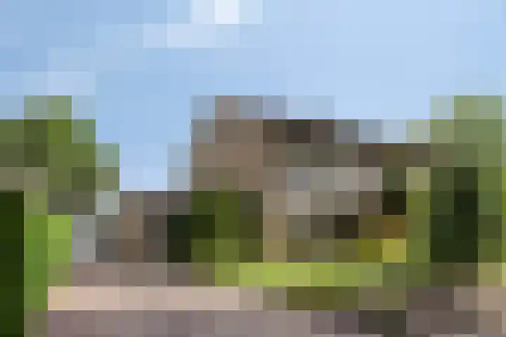 Vianendreef 10 Prinsenbeek thumbnail 26