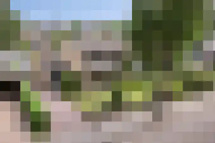 Vianendreef 10 Prinsenbeek thumbnail 27
