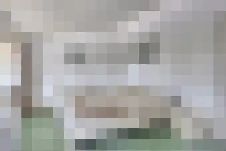 Vianendreef 10 Prinsenbeek thumbnail 4