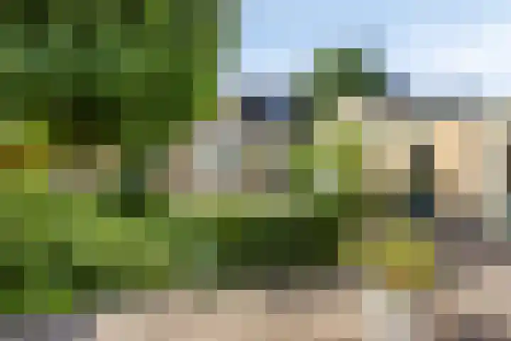 Vianendreef 10 Prinsenbeek thumbnail 5