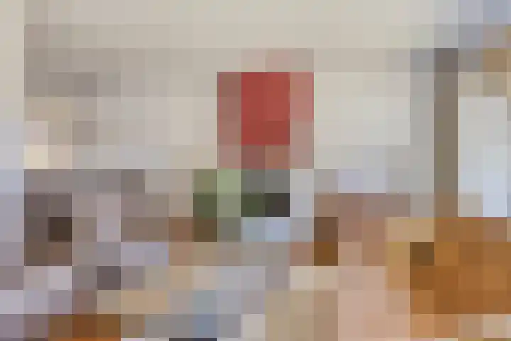 Vianendreef 10 Prinsenbeek thumbnail 9