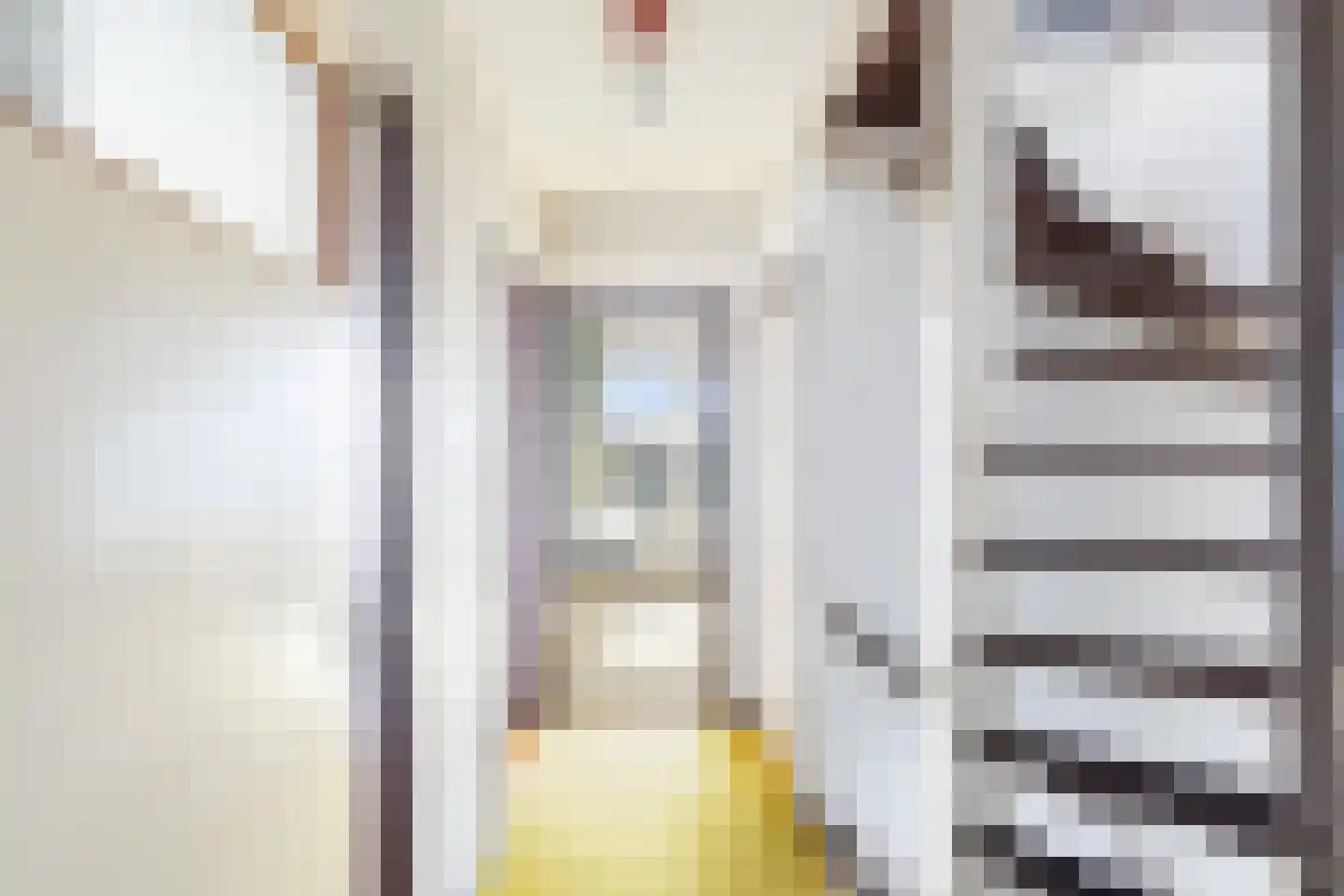 Vianendreef 23 Prinsenbeek thumbnail 19
