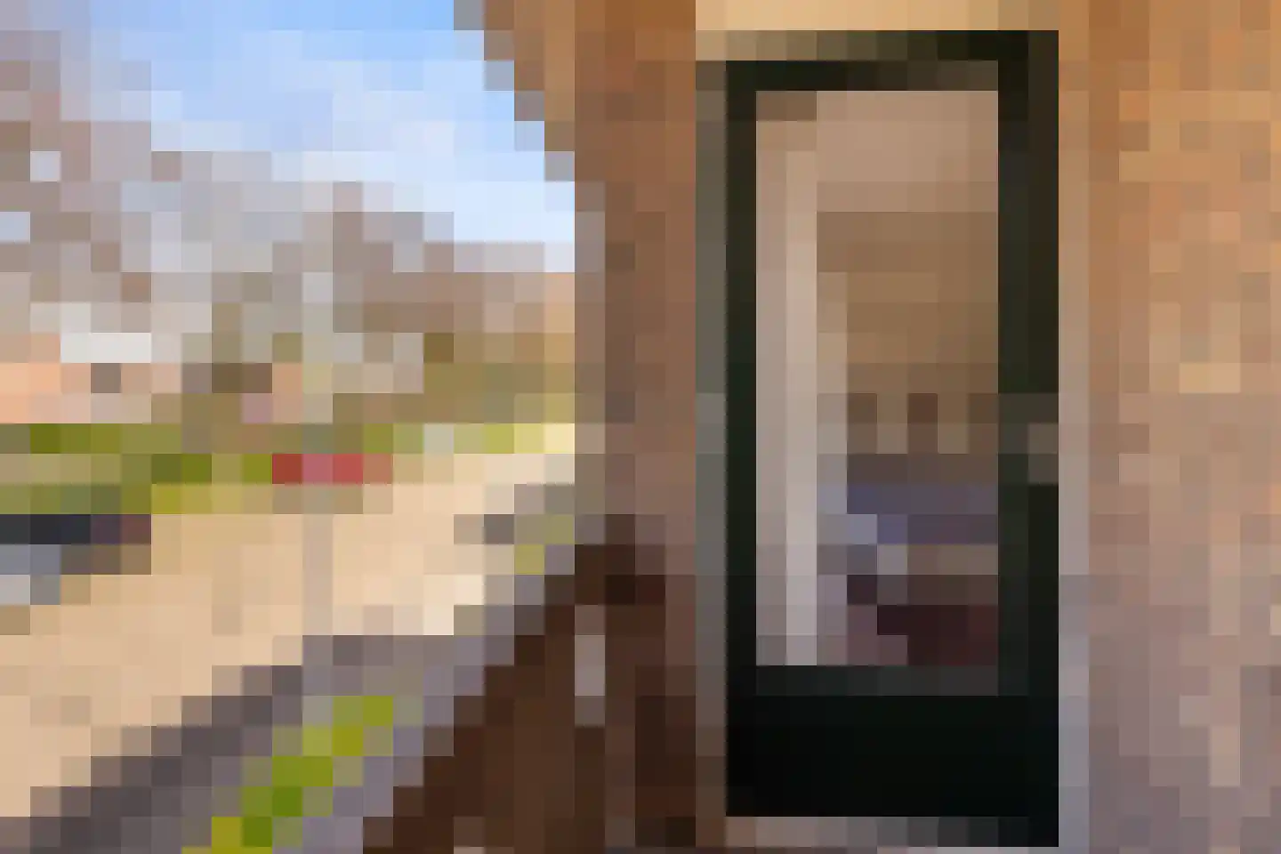 Vianendreef 23 Prinsenbeek thumbnail 26