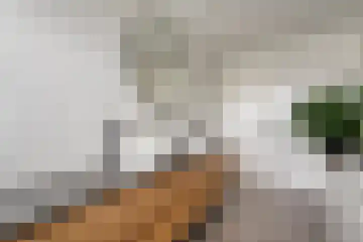 Vianendreef 39 Prinsenbeek thumbnail 20
